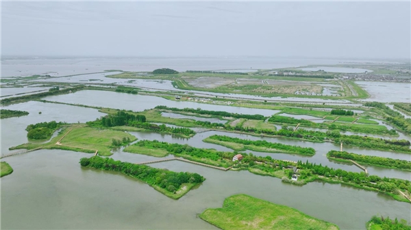 启幕 | 首个湿地公园里的“中国国家地理·营地”启动仪式举行