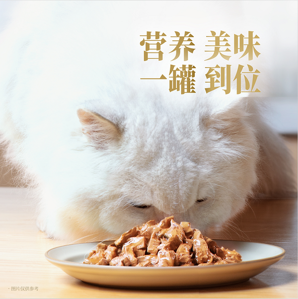 享誉全球的明星猫主食罐登陆中国,雀巢珍致重新定义猫湿主粮