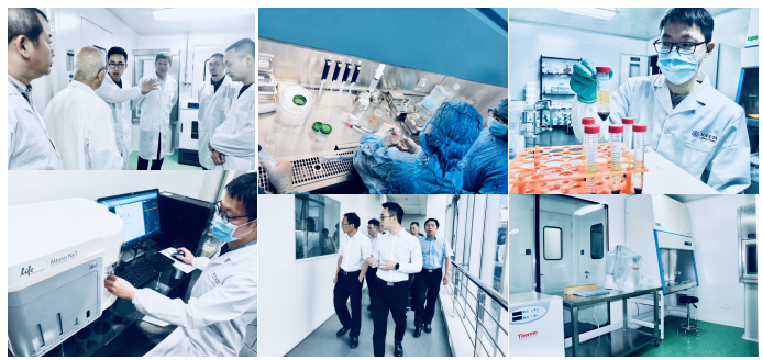 荣泽生物集团启动IPO上市辅导，专注细胞与基因技术转化