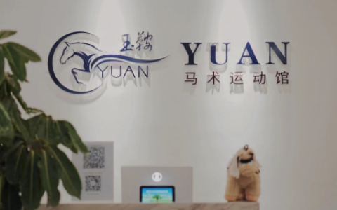 马术运动：锻炼身体与培养耐心的完美结合