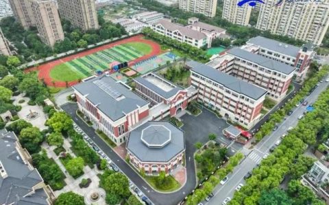 浦东这个镇以教育事业高质量发展，打造 “金拇指”明珠
