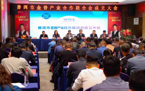 “金普计划”出台，持续推进沪滇协作