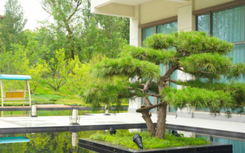 太行水镇别墅 山水相依的尊贵府邸