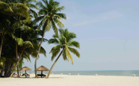 文昌清澜国际艺术村：迎接异地游养时代 寻求舒心健康生活