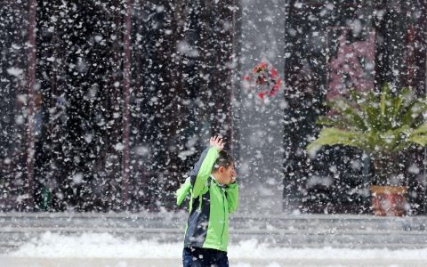 清鼻堂小店连锁：杨絮季节，过敏性鼻炎患者的福音！
