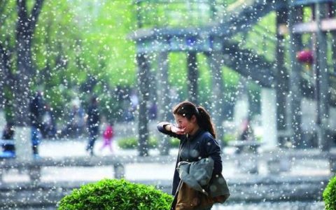 清鼻堂门店加盟：全新方案助你摆脱灰尘、杨絮过敏困扰！