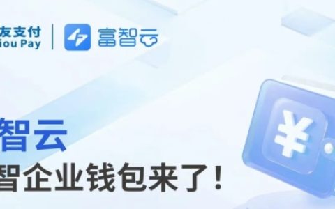 富友支付富智云数智企业钱包，让企业“管钱不碰钱”更安心
