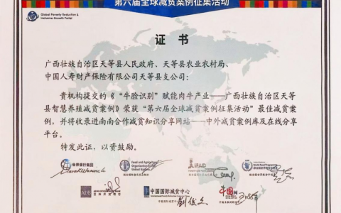 以“险”护航 中国人寿财险天等帮扶实践荣获全球最佳减贫案例