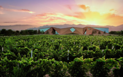 葡萄酒如何选择，长城葡萄酒打造绿色转型创新范式