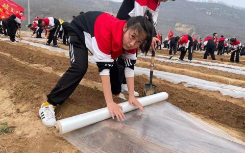 延安市安塞区：体系赋能映初心 志愿服务惠民生