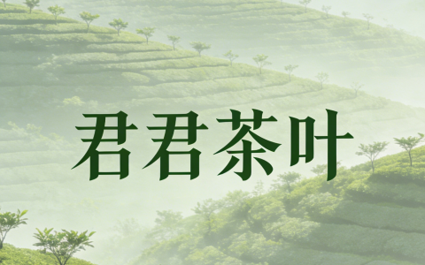 春茶飘香践初心 助农兴业显担当——君君茶叶2025年助农惠农与行业发展贡献纪实