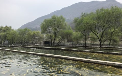 记者手记：秦岭土特产何以变“潮牌”
