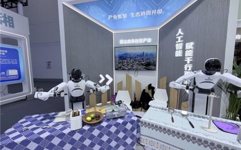 智元机器人亮相第九届数字中国建设峰会 以具身智能落地赋能数字中国建设