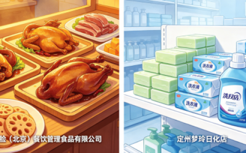 双轨并行，双主体协同赋能民生消费