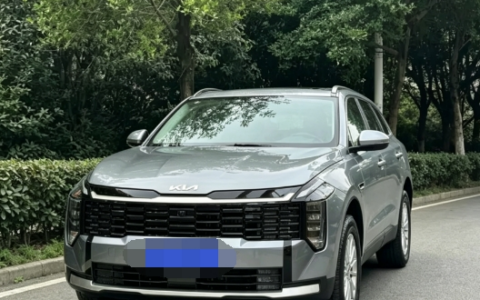 十几万买什么SUV车好？起亚新狮铂拓界1.5T尊贵版综合表现出圈