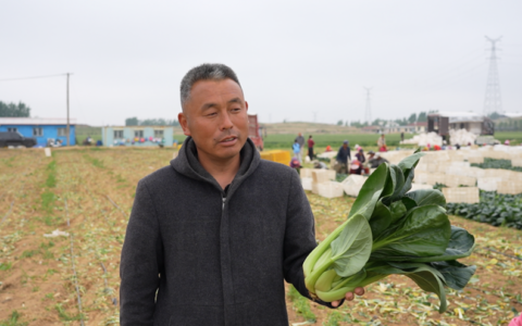 一肥六效，鲁花花生肽肥的化肥替代之路——在田间地头实地探访鲁花花生肽肥六大“超能力”