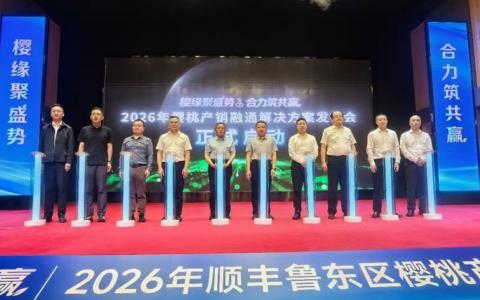 从“运输”到“连接”： 顺丰樱桃战略升维，重塑产销对接新范式