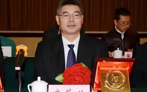 中国工程院院士唐菊兴出席亚洲矿业创新发展高峰论坛