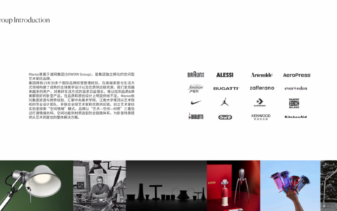 速网集团的自然延伸：为什么说孵化 Maroo，是一次有据可查的战略必然