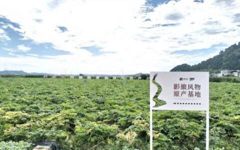 拍在四川影旅联盟再添产业融合新动作！