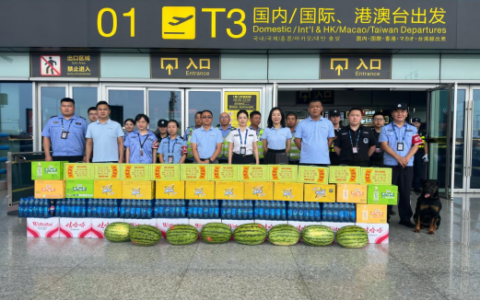 战高温淬担当 送清凉润人心 中安国保集团开展夏季慰问活动