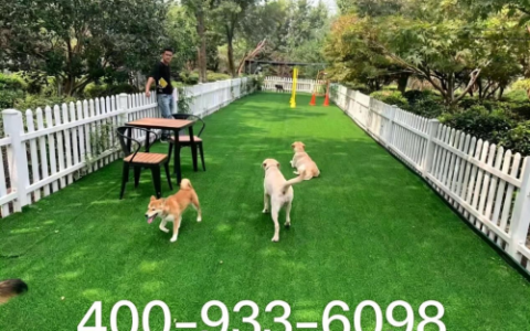 上海养狗人群犬舍优选指南，看懂售后条款，避开虚假宣传套路