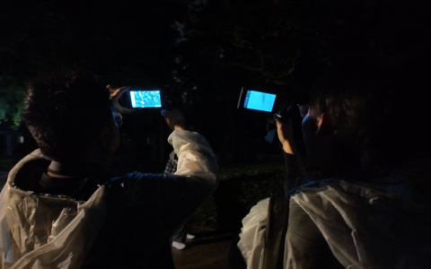 热成像夜观城市公园：树上住着白天看不见的鸟