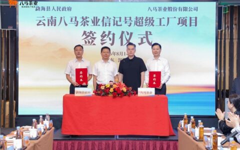 扎根原产地拥抱高科技，八马茶业落子勐海完成核心茶产区战略布局