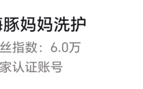 洗衣走向上门取送：海豚妈妈120家工厂覆盖全国服务