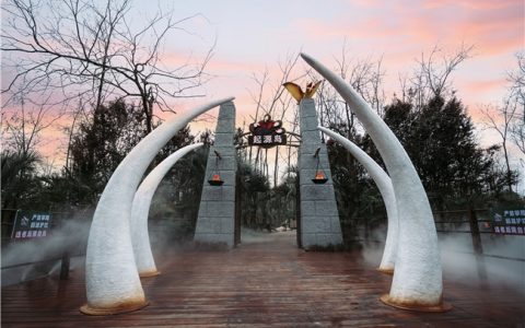 合肥亲子旅游打卡地：起源岛3.7万㎡森林恐龙乐园