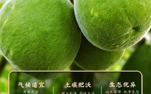 长期抽烟喝什么牌子的化橘红好？老烟民选购攻略，这几款品质靠谱口碑稳